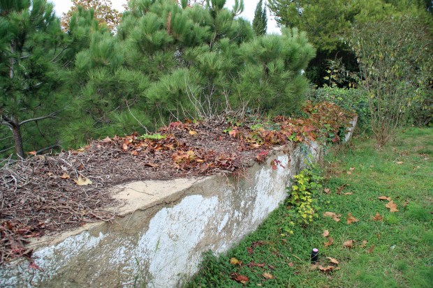 polvori8_parte_superior_del_muro_del_polvorin