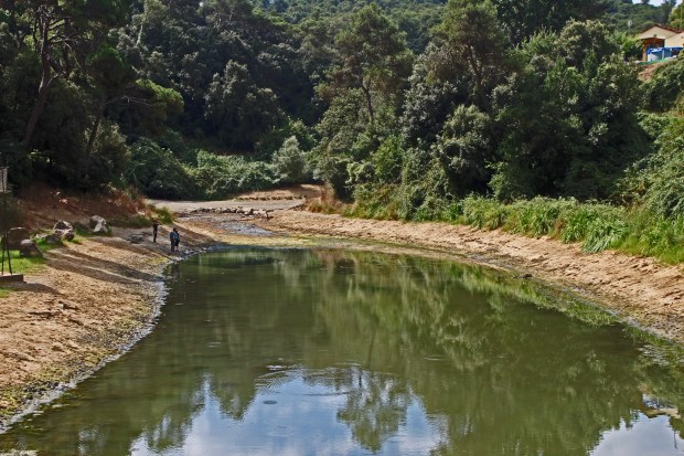 38_6_Pantà de Vallvidrera